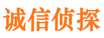 甘井子市调查公司